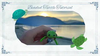 Beaded Turtle Amigurumi Tutorial Part 1 Customizable 7cm x 6 5cm Turtle Design