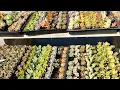 Plant Shopping and Nursery Tour at Wegman s Nursery Redwood City CA