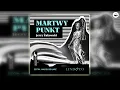 Martwy punkt Autor Jerzy Żukowski Kryminały po Polsku AudioBook PL