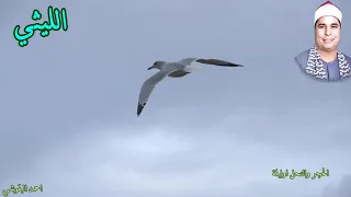 الحجر والنحل اوليلة الشيخ محمد الليثي 