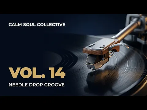 Neo Soul & R&B Mix (Rainy Night Vinyl Warmth) | VOL. 14 | 2-Hour Long Play | Calm Soul Collective