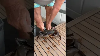 A Truely Rewarding Day Crabbing – Sailing Adventures