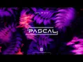 Download Lagu PASCAL - Love or Ego