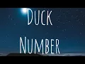 Duck Number Java explained
