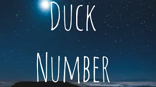Duck Number Java explained