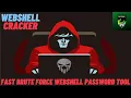 Website Security Testing Tool For Kali Linux Webshell Vulnerability Scanner