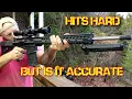 PSA PA10 Gen 3 308 hits hard but is it accurate