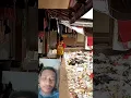 Download Lagu kumuh dan banyak sampah di  pemukiman kebon sayur, Pademangan, Jakarta