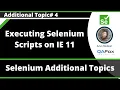Executing Selenium Scripts on Internet Explorer IE 11 Browser