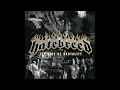 Hatebreed - Another Day Another Vendetta