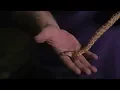 Serpentarium Magic