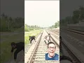 train prank 🤣🤣 #funnyvideo #prank #humor #shorts #reaction #comedy