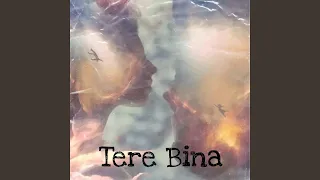 Tere Bina