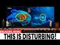 After Years of Silence Dennis Asberg Finally Reveals What s Hidden Beneath the Baltic Sea
