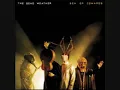 the Dead Weather : Hustle And Cuss