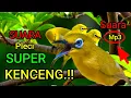 Download Lagu MASTERAN PLECI TERBARU 2023 FULL TEMBAKAN KENCANG !! @BubupatianD