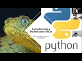 Python y Processing