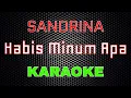 Download Lagu Sandrina - Habis Minum Apa [Karaoke] | LMusical