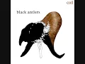 Coil "All the pretty little horses"