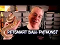 Should I buy a ball python at Petsmart
