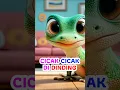 Download Lagu Cicak Cicak di Dinding Shorts 🦎🦟🦎 Lagu Anak Indonesia Balita