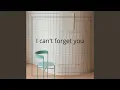 Download Lagu I can't forget you