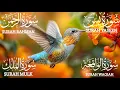 Lagu Peaceful Quran Recitation❤️Surah Yaseen ❤️Surah Rahman❤️Surah Mulk❤️Surah Waqiah@salsabeelquran