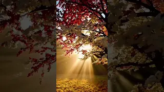 ماذا تعرف عن الليث ابن سعد اسمع الفديو مع الشيخ سمير مصطفى وحكم مؤثرة 