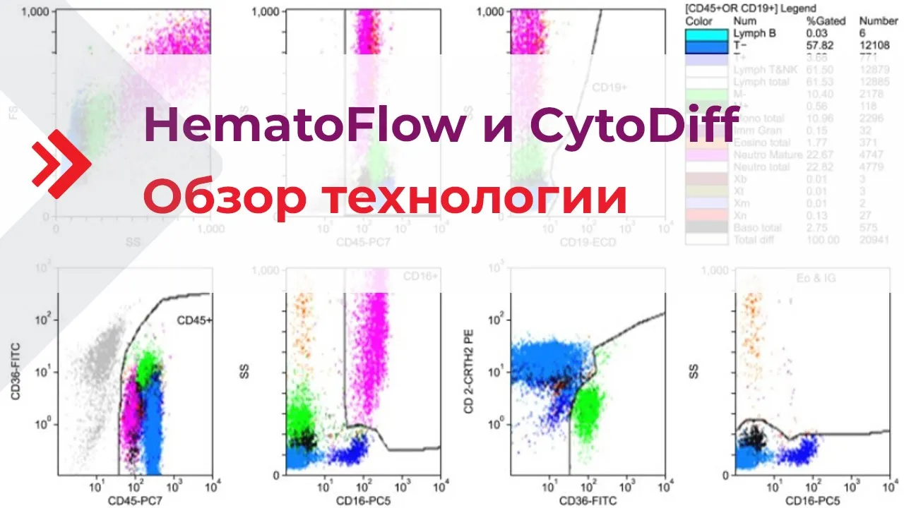 HematoFlow и CytoDiff – обзор технологии