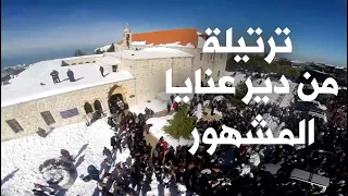                               دندنها