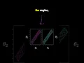 Two Double Pendulums