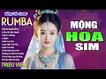 Download Lagu MỘNG HOA SIM , TÌNH XƯA NGHĨA CŨ - LK Nhạc Trẻ Rumba 8x 9x Hót TikTok - ALBUM RUMBA XUẤT SẮC NHẤT