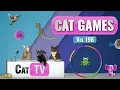 Lagu CAT Games | Ultieme Cat TV-compilatie Vol 198 | 8 UUR 🐝🐞🦋🦎🦜🐜🐭🧵