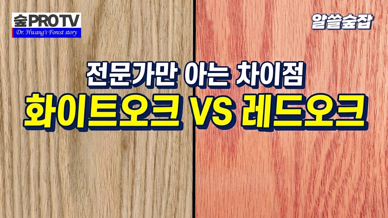 목재계의 스타 화이트 오크와 레드 오크