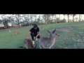 Jai Wolf - The World Is Ours (2016 Recap)