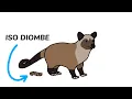 Download Lagu Asal Usul Kopi Luwak ( koyone ) - Dubbing Jawa