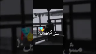 شايف مر في افلامي حلات واتس 