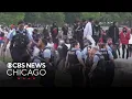Dozens of teens arrested 9 weapons recovered during large gathering in Hyde Park