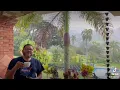 Feliz lunes pasa todos Aca tu cafe caliente de la manana