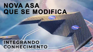 Asa que se modifica no voo