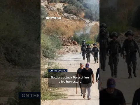 Israeli settlers assault Palestinians harvesting olives