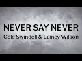 Cole Swindell & Lainey Wilson - Never Say Never [Lyrics]