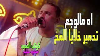 كوكب الصعيد محمود سليم اهـ مالوجع فيديو تدمير خلايا المخ الكوكب فى حاله من الروقـــان 