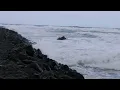 King Tides - Barview Tillamook Bay Jetties