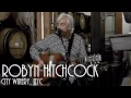ONE ON ONE: Robyn Hitchcock - The Ghost In You November 10th, 2014 City Winery New York