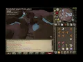 OSRS CONTACT How to easily beat Gaint Scarab at low level
