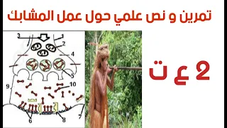 تمرين و نص علمي حول عمل المشابك و تأثير مادة الكورار عليها 