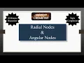 Radial Nodes and Angular Nodes 10 Minutes Discussion