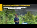 Download Lagu SISTEMASI PEMUPUKAN/PENGEPOMAN PEMBESARAN BUAH SEMANGKA DI KEBUN DURIAN