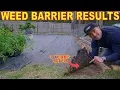 I Put WEED BARRIER On My Lawn 3 Years Ago And THIS HAPPENED